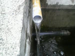 P1000090.JPG