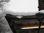 00fc899f.jpg