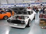 901c262b.jpg
