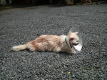 ba02263d.jpg