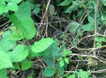 570d50b6.jpg