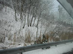 f3f5ec40.jpg