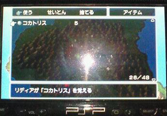 FF4_koka5.jpg