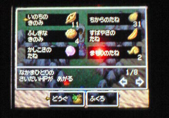 DS_DQ4_dorping_2012_8_18.jpg