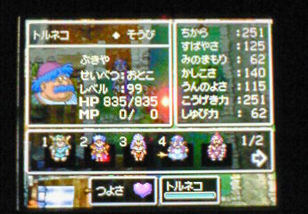 DS_DQ4_toruneko.jpg