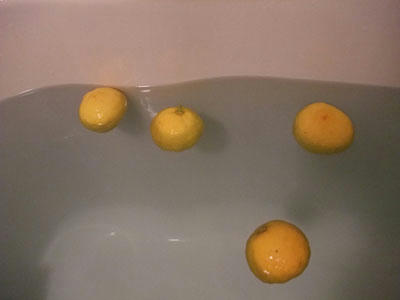 DSCF6728.JPG