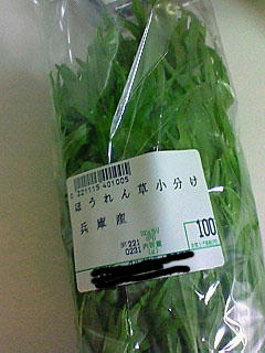 NEC_0556.jpg