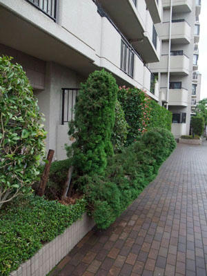 DSCF9341.JPG