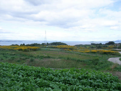 DSCF2060.JPG