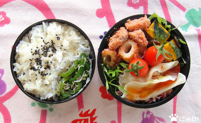 今日のMy弁当「エスニック水餃子弁当」