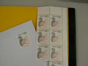 SANY0044.JPG