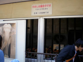 諏訪子さん２