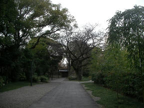 藤田邸跡３