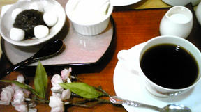 カサブランカクラブ (CASA BLANCA CLUB)