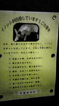 クリスマス2010