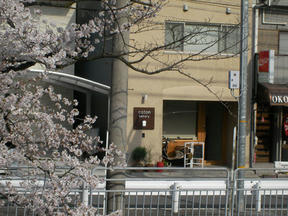 coton bakery