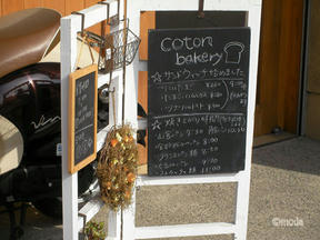 coton bakery