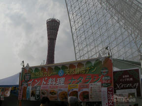 インディア・メーラー2011