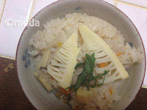 たけのこ2012