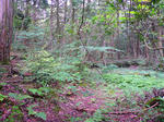 20100703-163.jpg