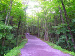 20100703-164.jpg
