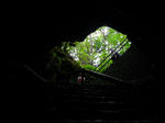 20100703-175.jpg