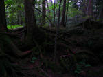 20100703-182.jpg