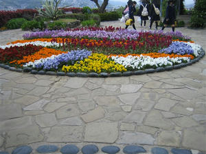 IMG_3688.jpg