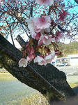 200802081514001.jpg