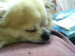 200803022120000.jpg