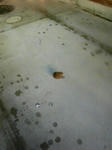 200803141757000.jpg