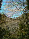 200803151153000.jpg