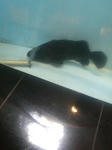 200804261245000.jpg