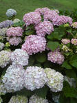 200805311511000.jpg