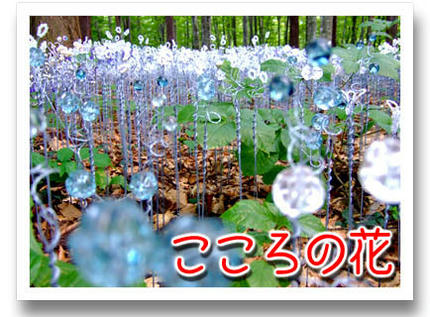 2009_09070037.jpg