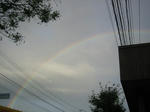 2010niji.JPG