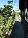 0109DSCN0109.jpg