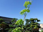 0112DSCN0112.jpg