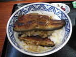 二段丼の中