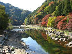 川沿いの紅葉