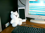 CIMG0649.JPG