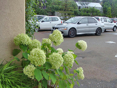 090712_04.jpg