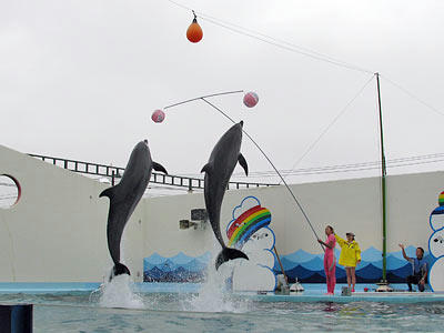 090808_02.jpg