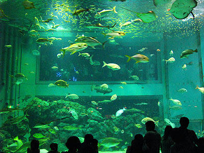 090808_06.jpg