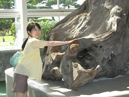 090808_10.jpg