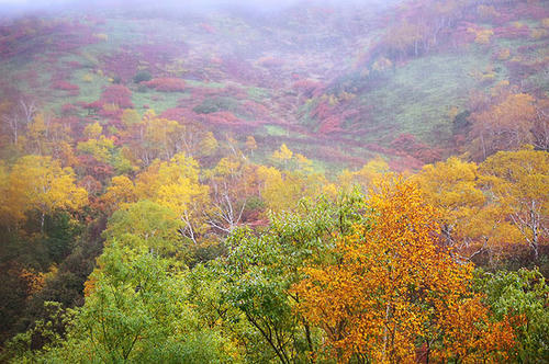 090924_03.jpg