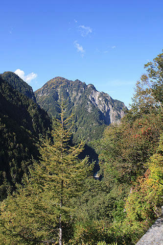 IMG_3062.jpg