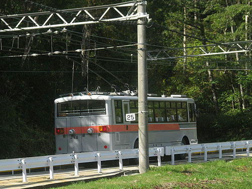 IMG_9775.jpg
