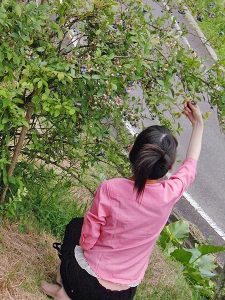 130804_10.jpg