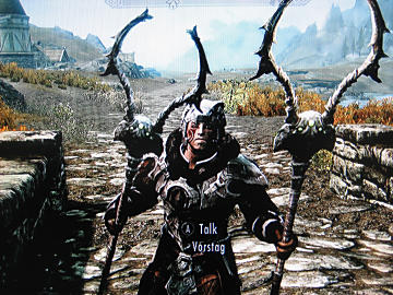 Skyrim 31 タフすぎて そんはない